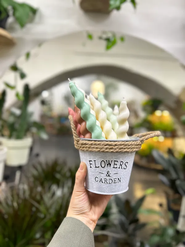 Свічка крученик Edelweiss Candles