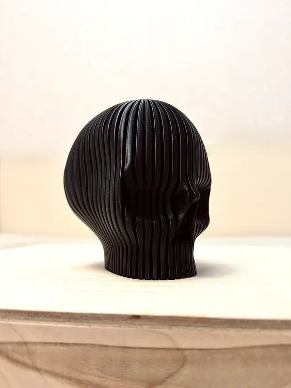 Череп Modern Skull